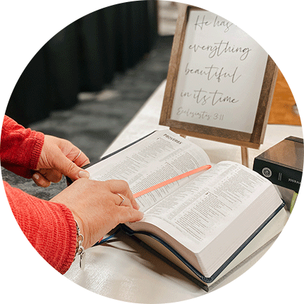 Image for Appleseed / Centre Page Resource Centre