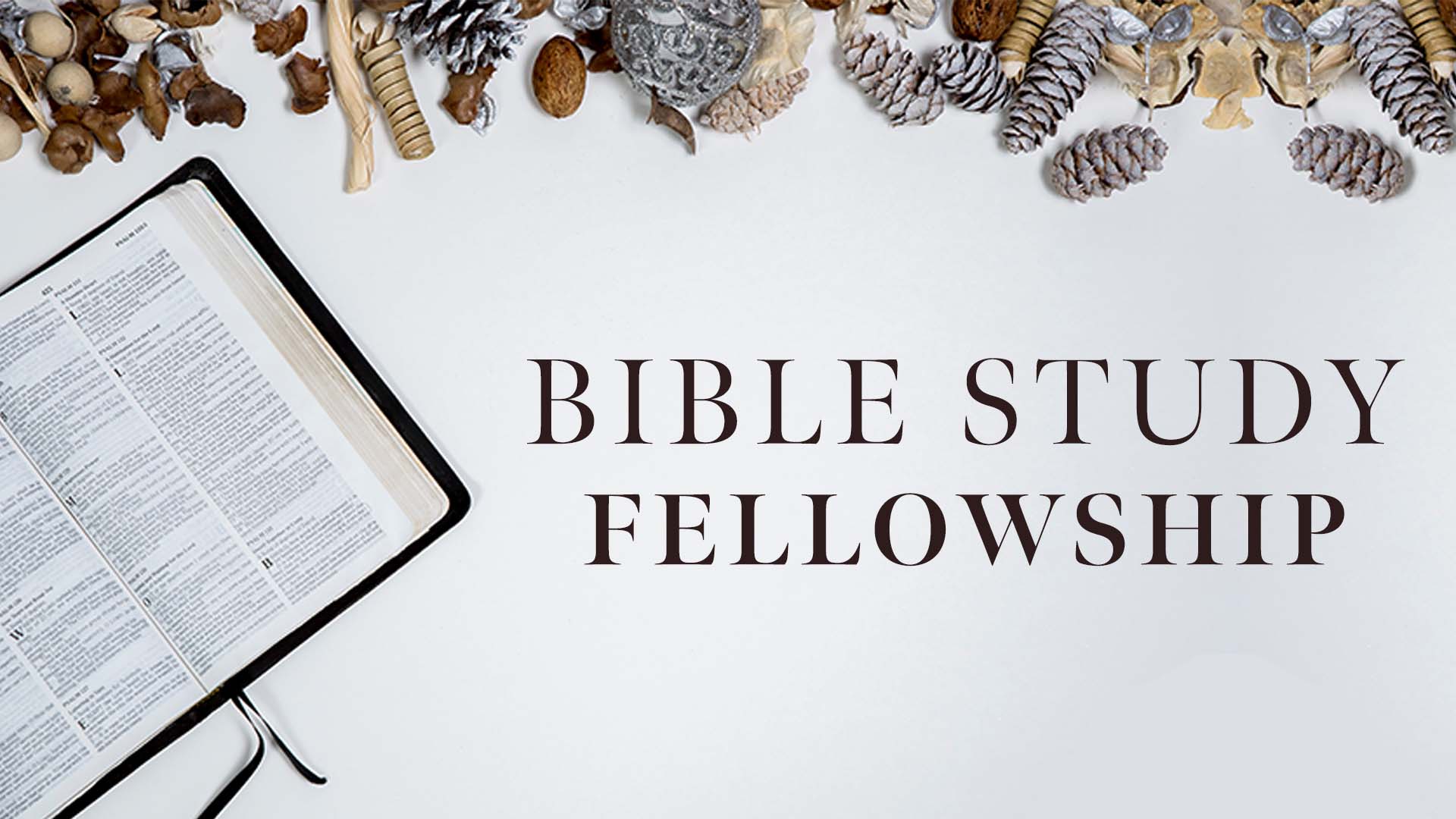 Image for Bible Study Fellowship