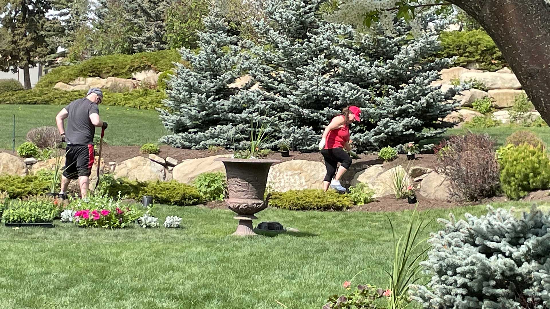 Image for Gardens & Grounds Steward