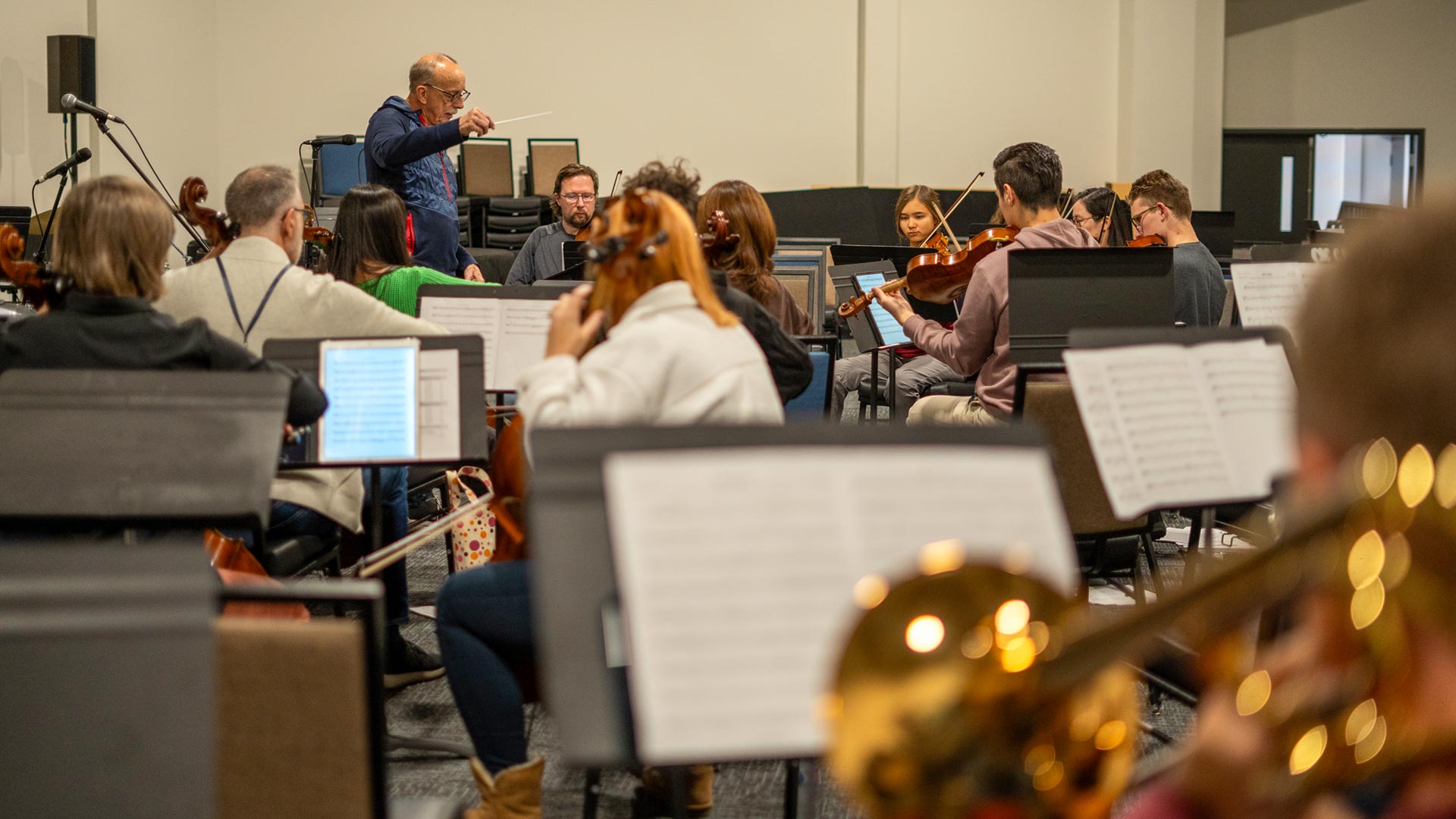 Image for Orchestra Member