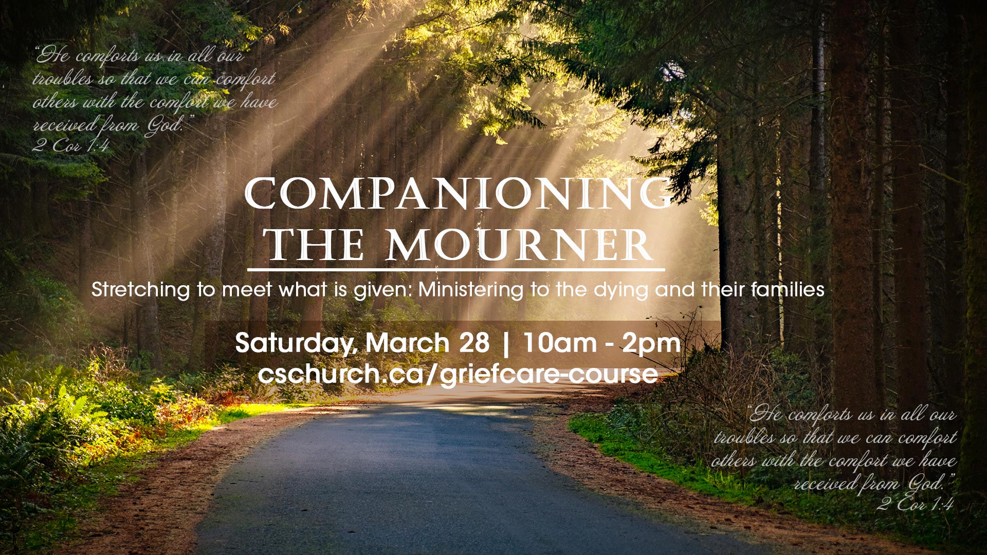 Image for Companioning the Mourner