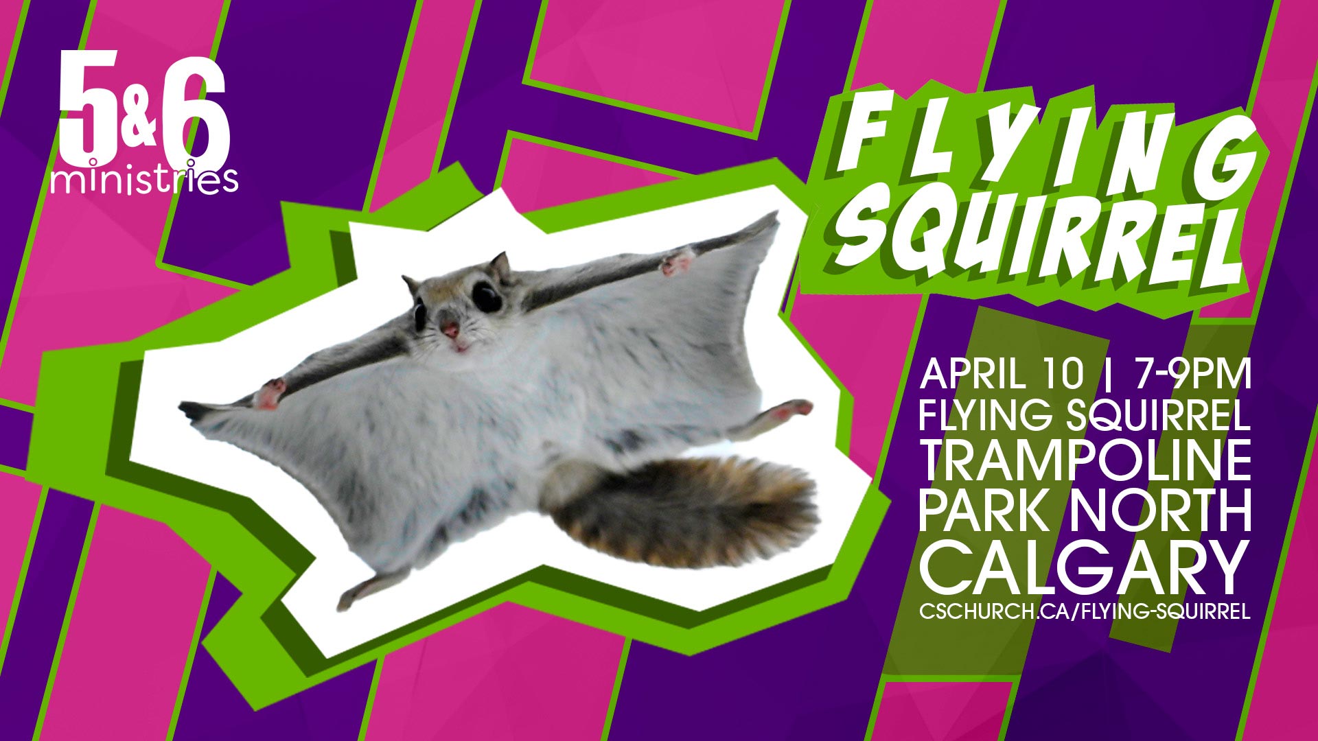 Image for Grade 5&6 Flying Squirrel