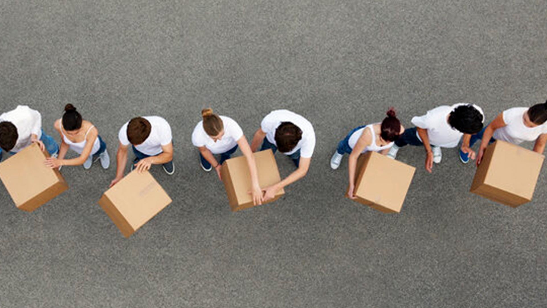 Image for Pursuing the Kingdom - God's Plan