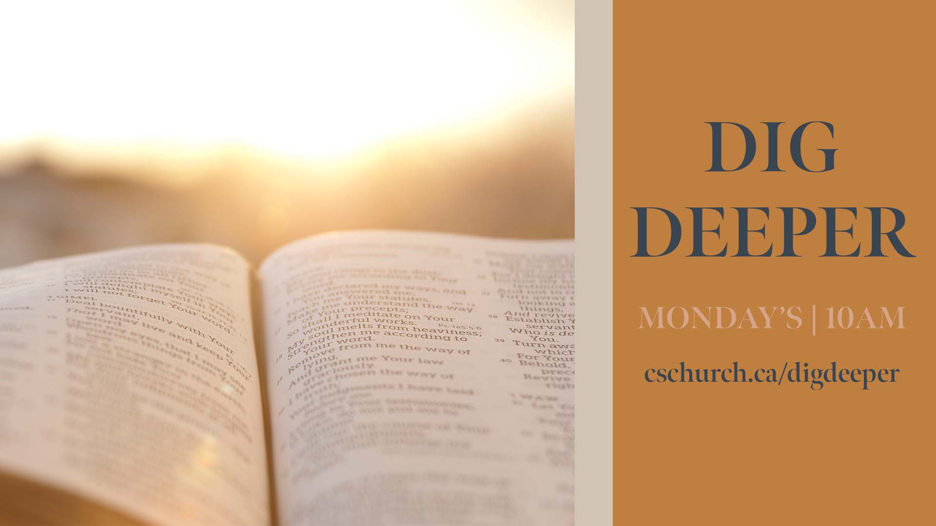 Image for Dig Deeper